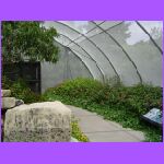 Butterfly Garden 3.jpg